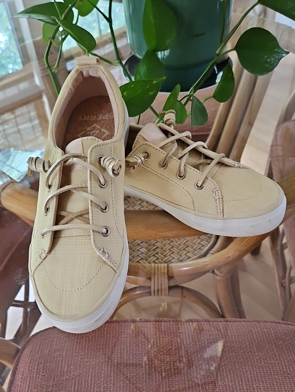 Sperry Crest Cibe Canvas Sneakers NWOT